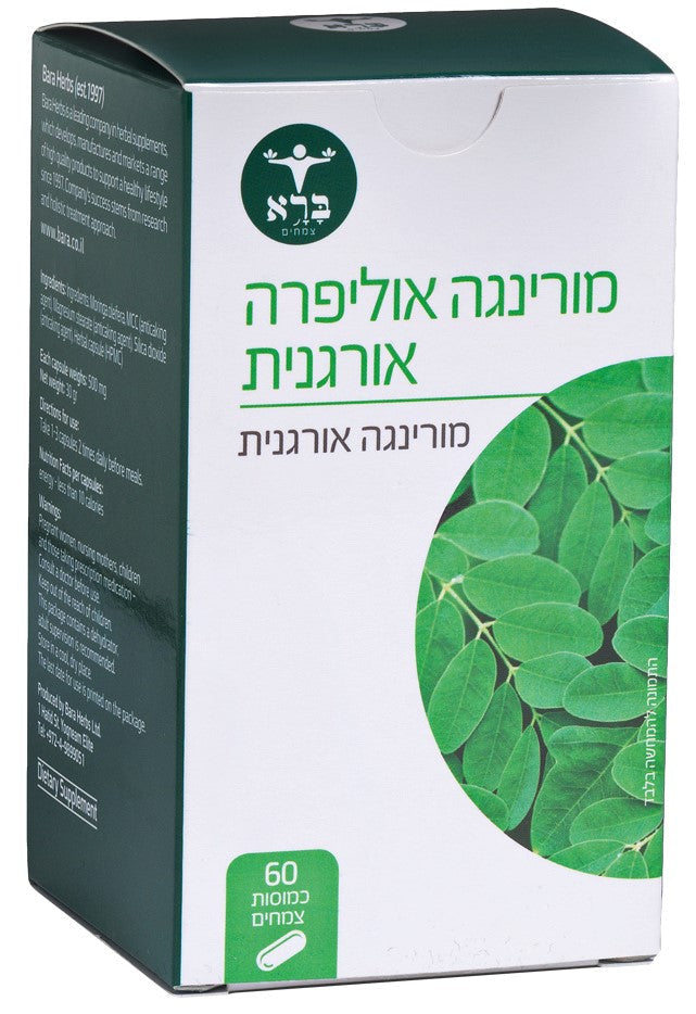 מורינגה אוליפרה אורגנית