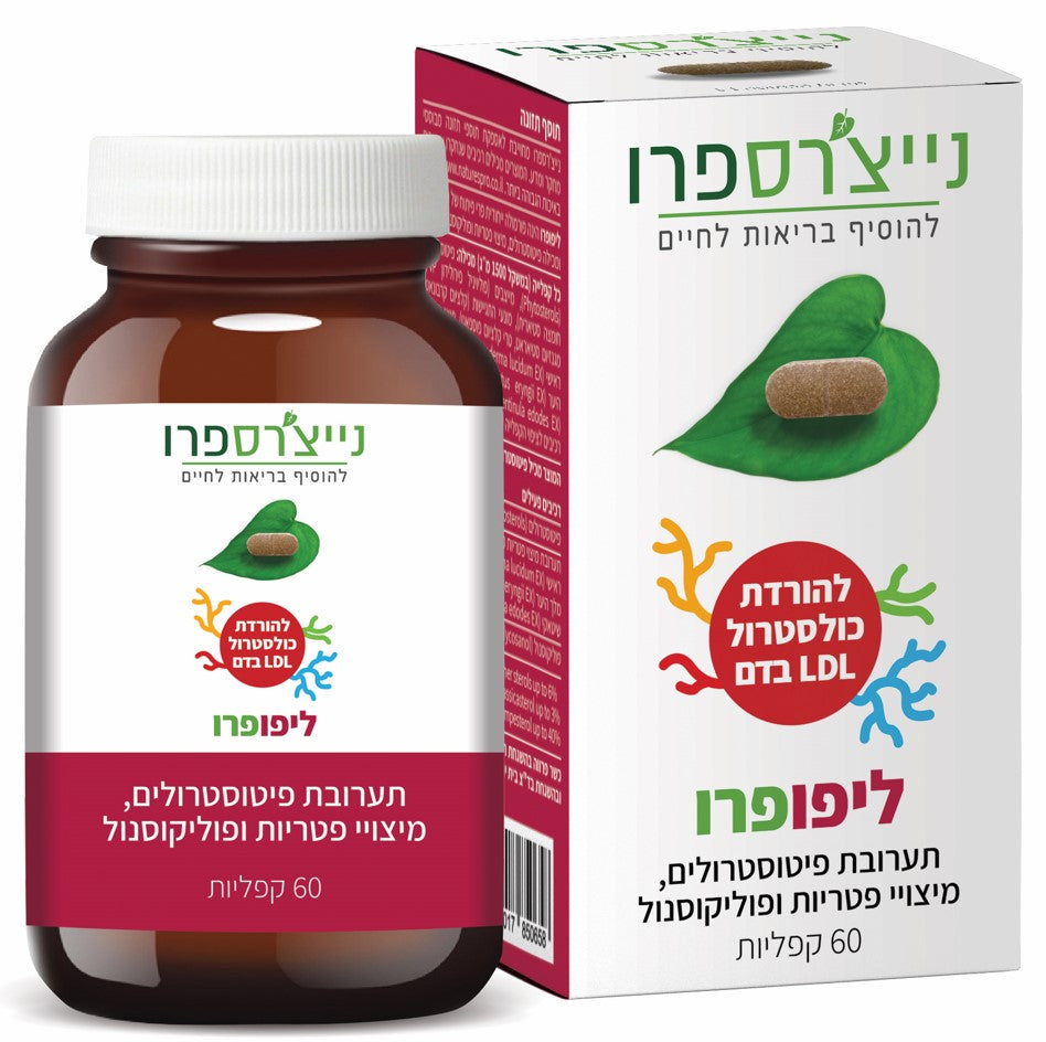ליפופרו